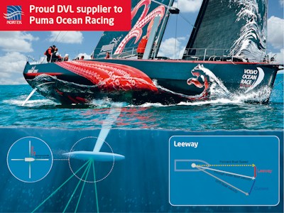 Puma beams and leeway insert