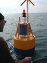 Buoy2.jpg