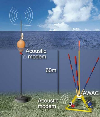 Wave data transmitted