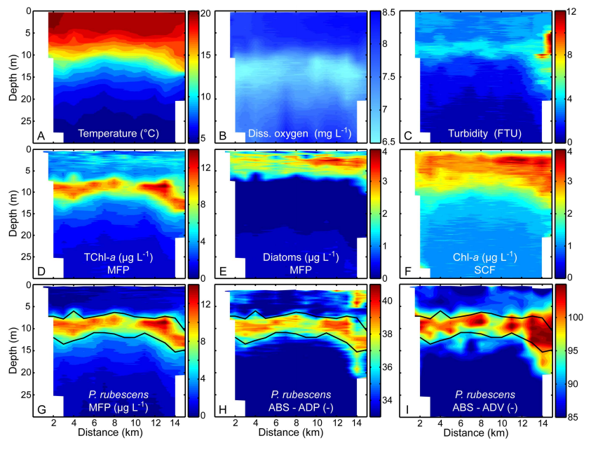 In-situ Acoustic Measurements of Cyanobacteria