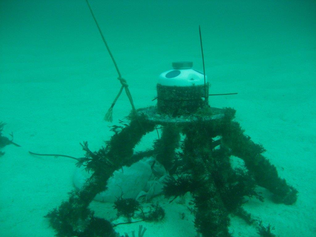 Mariscope Chile AWAC deployed