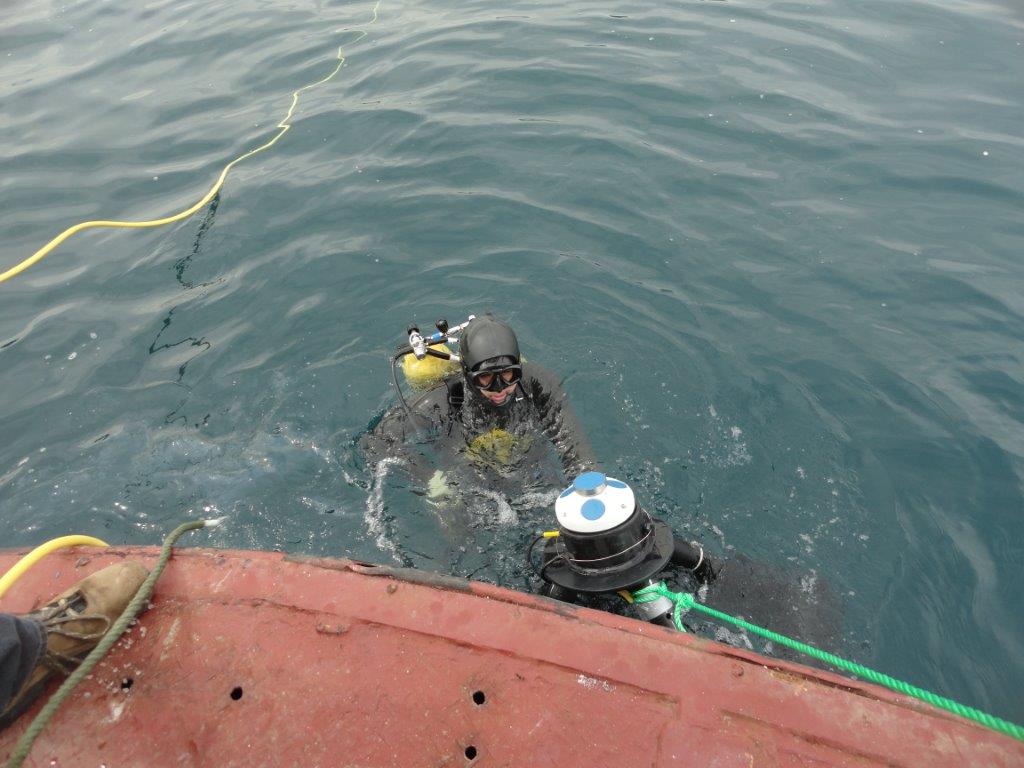 Mariscope Chile AWAC diver