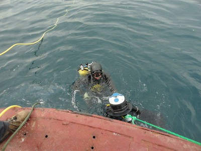 Mariscope Chile AWAC diver