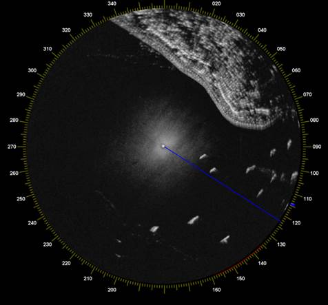Original radar image with coastline