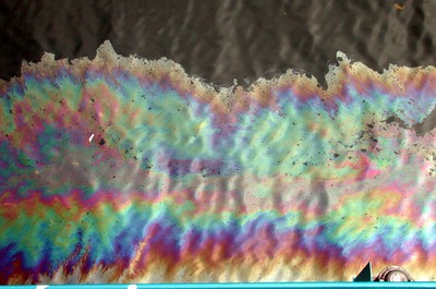 Oil film on the water