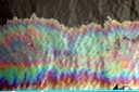 Oil film on the water